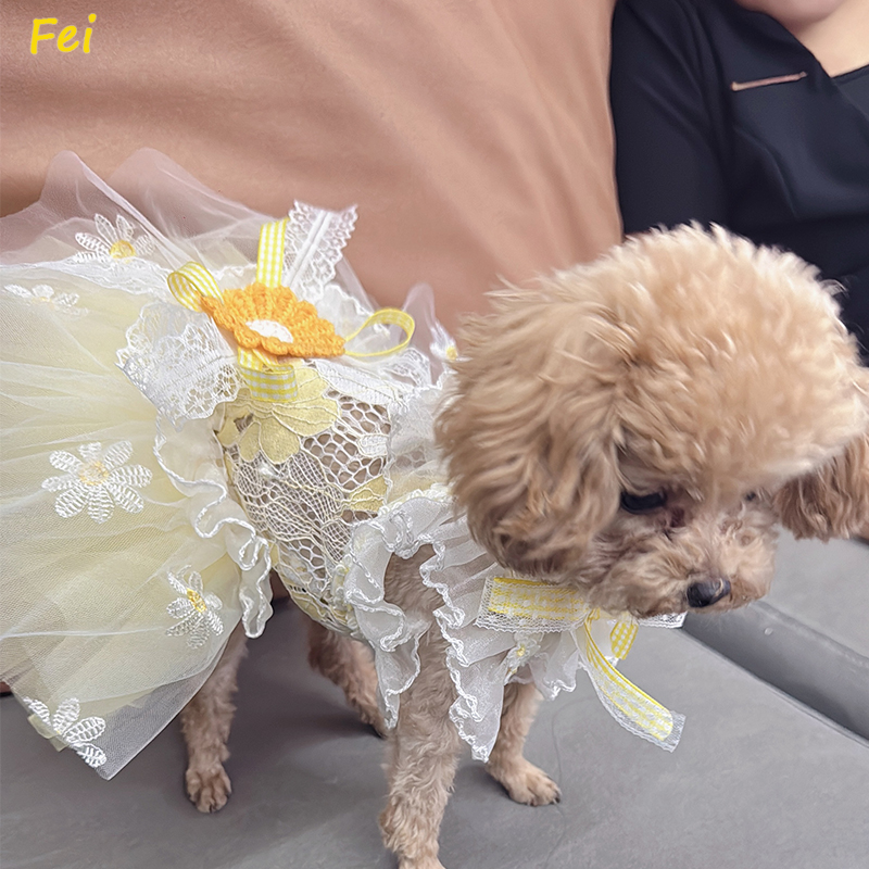 Summer Yellow Daisy Flower Pet - Soft Summer Yellow Clothing recensie en prijs