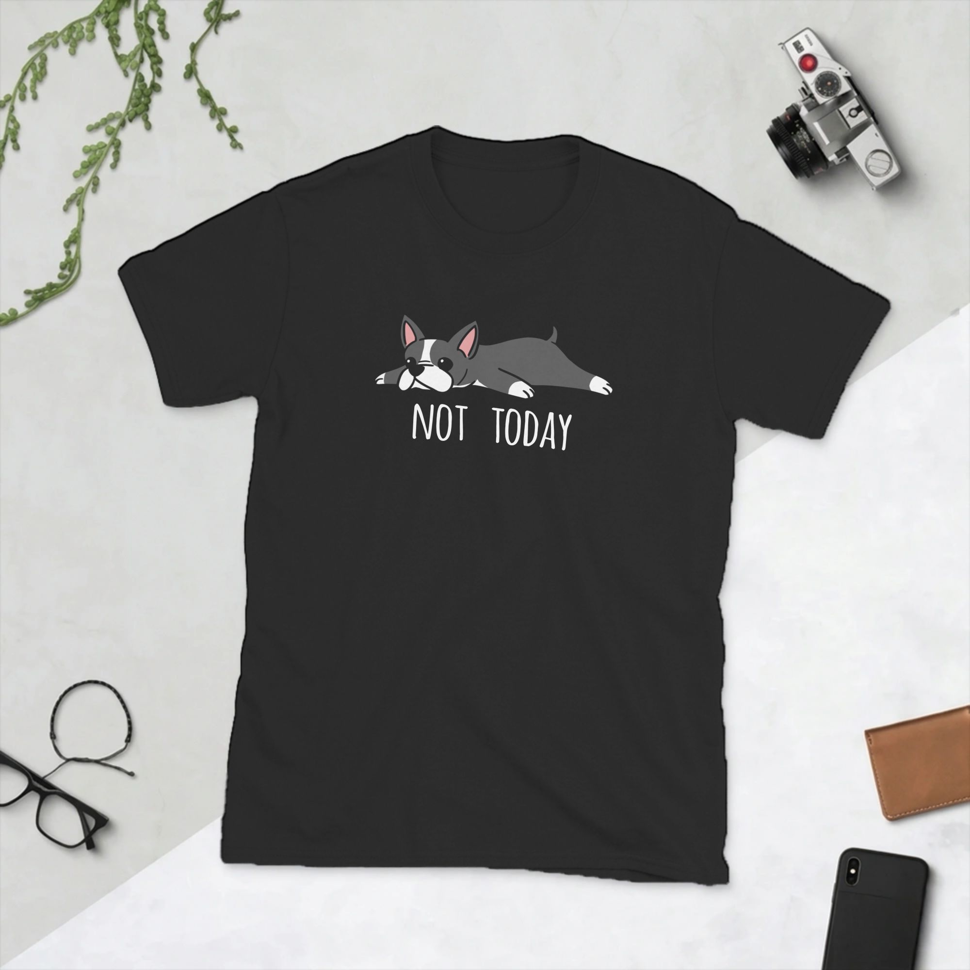 Funny Not Today Boston Terrier - Summer Clothing Ideas Men recensie en prijs