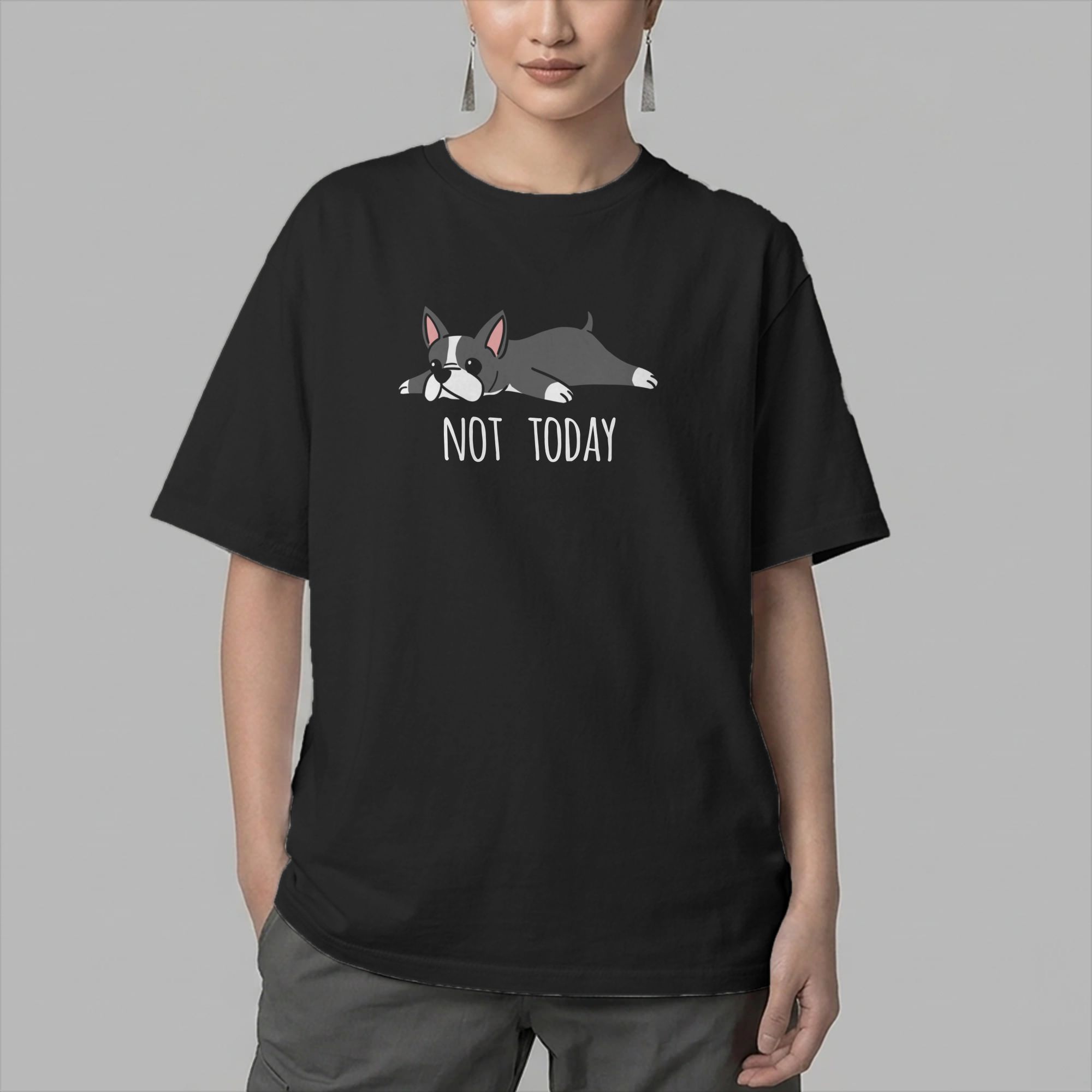 Funny Not Today Boston Terrier - Summer Clothing Ideas Men recensie en prijs