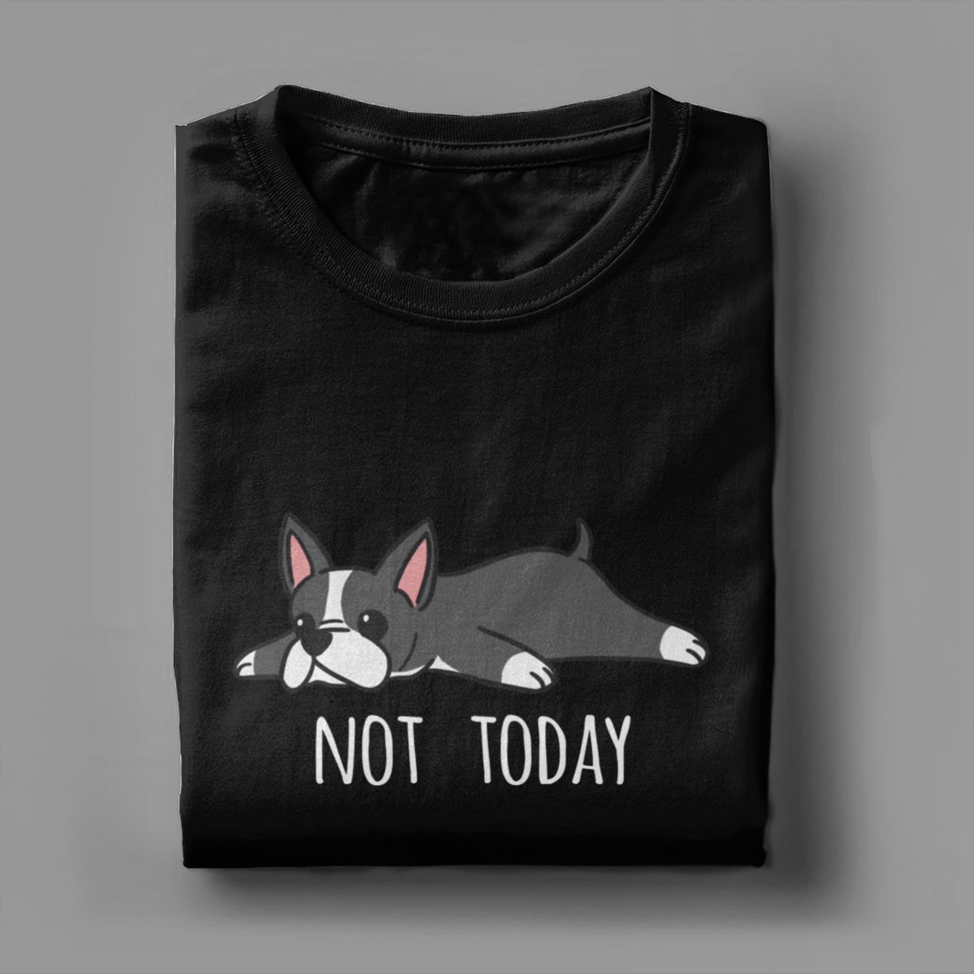 Funny Not Today Boston Terrier - Summer Clothing Ideas Men recensie en prijs