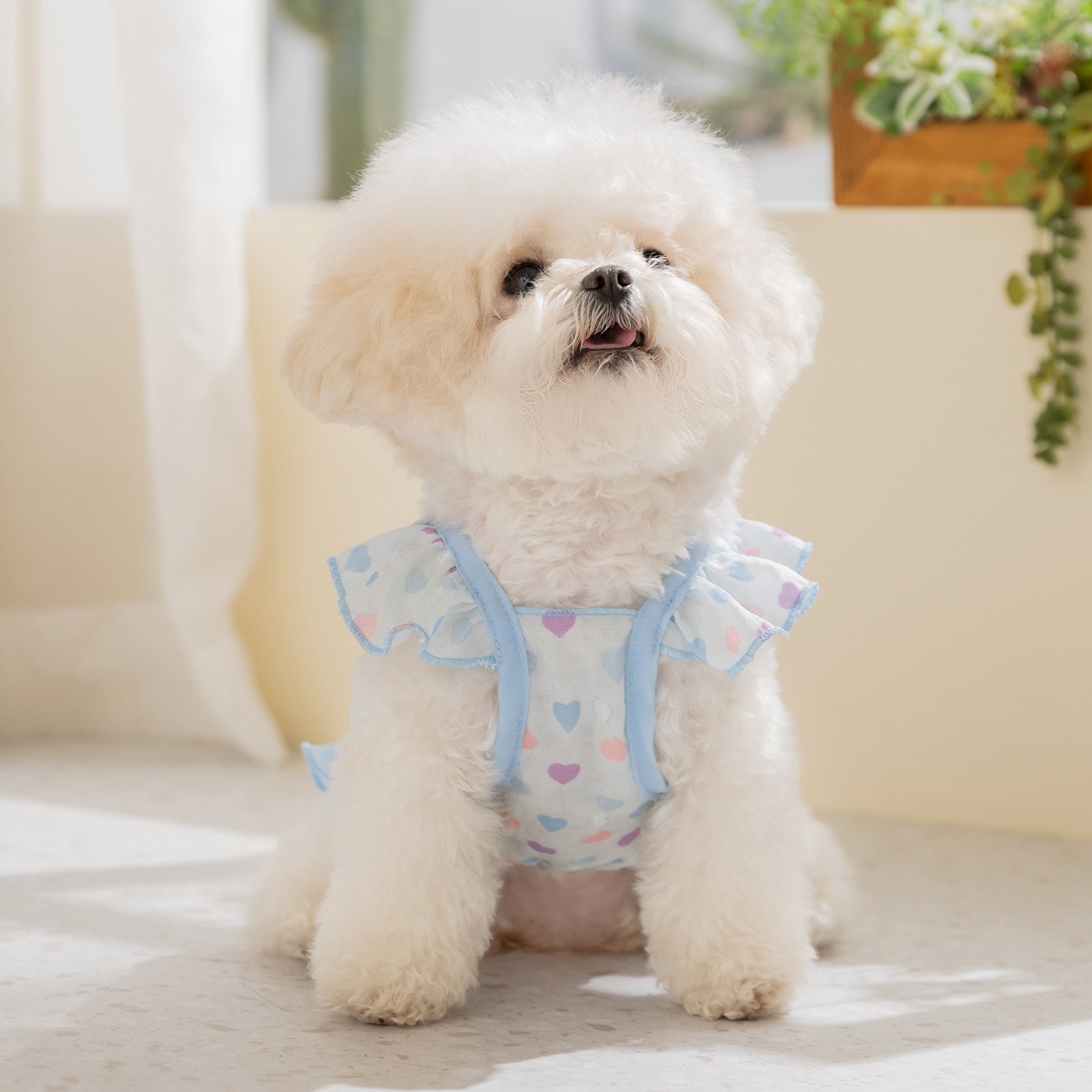 Yellow Love Dog Clothes Summer - Soft Summer Yellow Clothing recensie en prijs