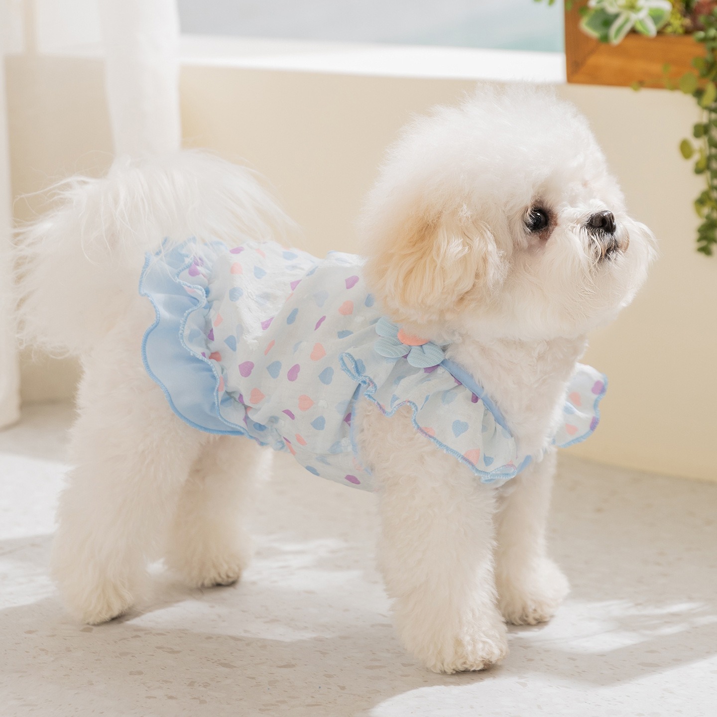 Yellow Love Dog Clothes Summer - Soft Summer Yellow Clothing recensie en prijs